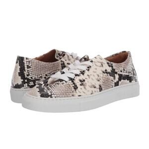 Jacques Solovière Paris Herve en Ville Python Sneakers Leather Sz 5 US 36 EU NIB